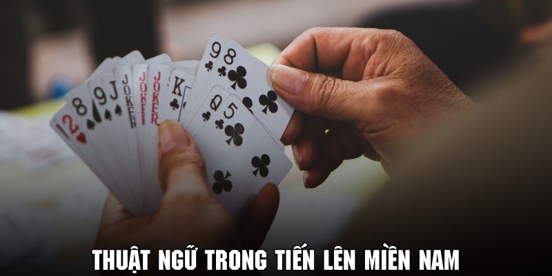 Nắm rõ các thuật ngữ trong game tiến lên siêu hot hiện nay